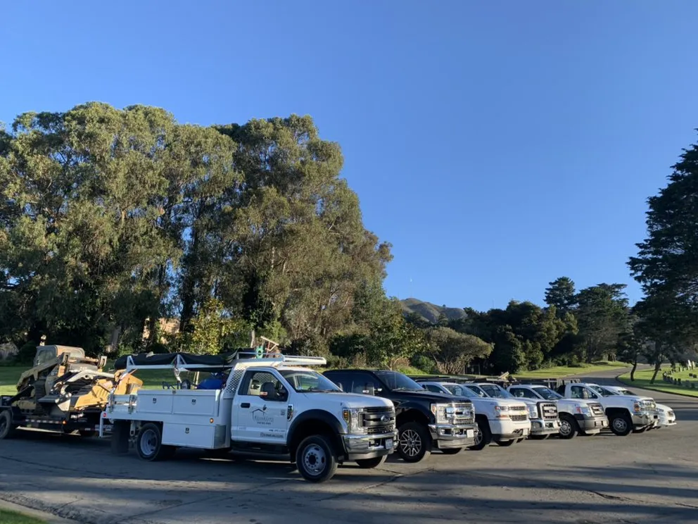 Affordable residential landscaping in Hollister, CA - Bloom and Lawn Landscape