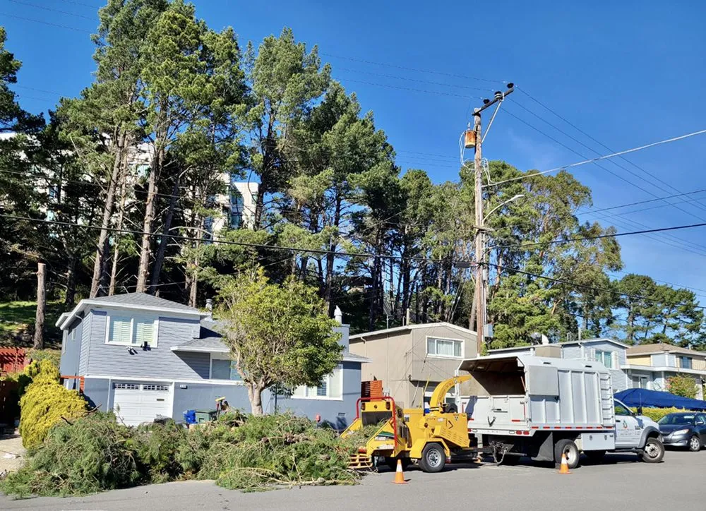 Professional residential landscaping for homes across Hollister, CA - Bloom and Lawn Landscape