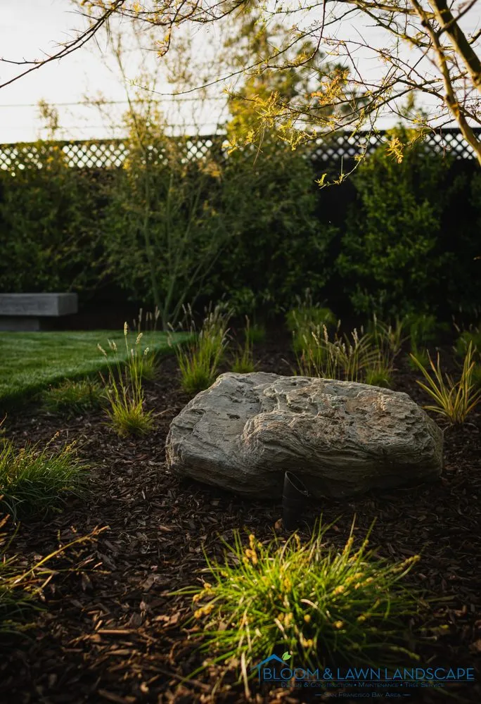 Reliable landscaping services with custom design in San Francisco, CA by Bloom and Lawn Landscape