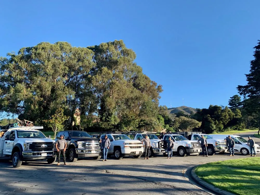 Reliable yard maintenance in West Menlo Park, CA by Bloom and Lawn Landscape