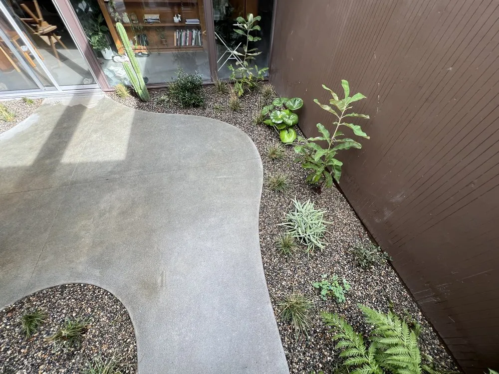 Expert yard cleanup service for residential properties across West Menlo Park, CA - Bloom and Lawn Landscape