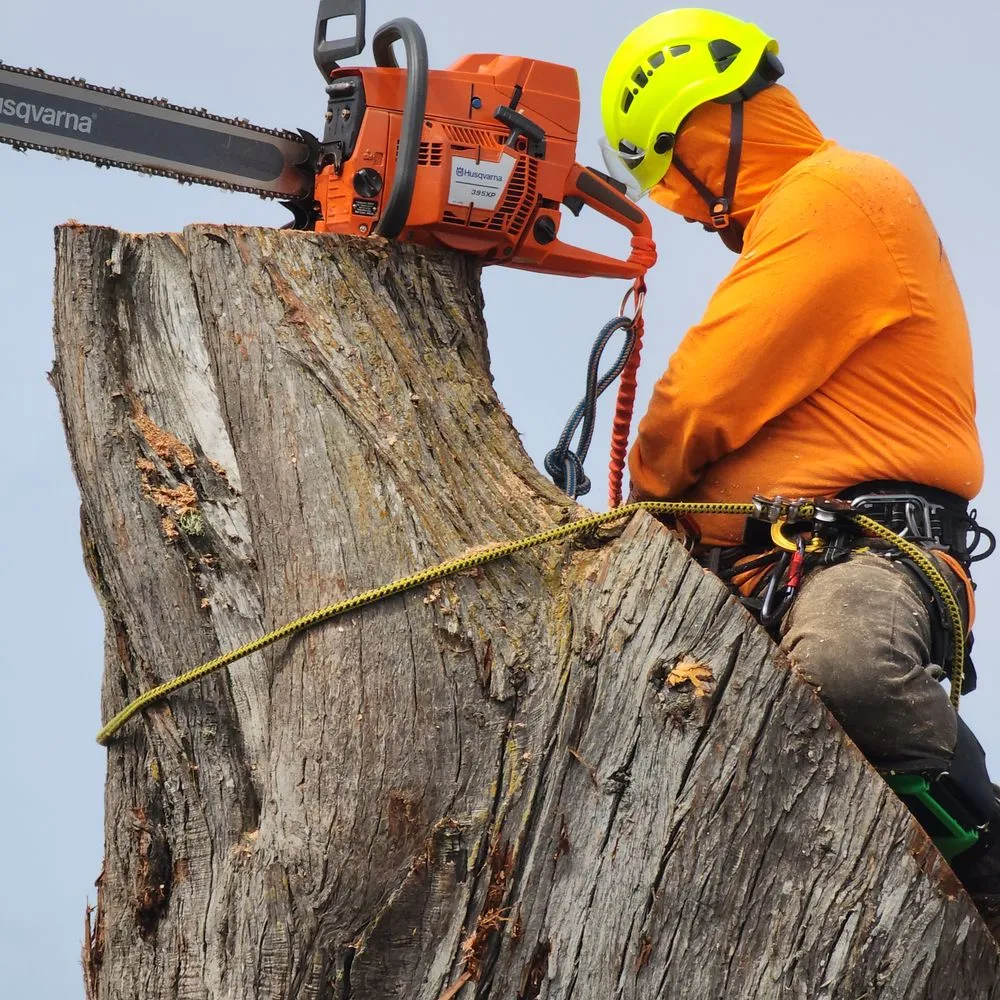 Top-rated garden landscaping near you across West Menlo Park, CA - Bloom and Lawn Landscape