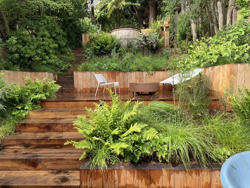 Trusted outdoor landscaping for year-round maintenance in West Menlo Park, CA by Bloom and Lawn Landscape