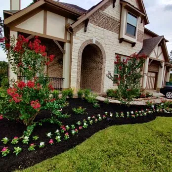 Top-rated landscape design with custom design across Dallas, TX - Bloom Biotics