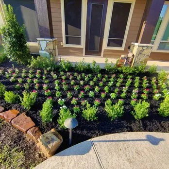 Local yard maintenance for outdoor upgrades in Dallas, TX by Bloom Biotics