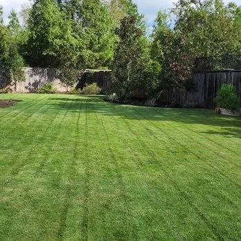 Top-rated landscaping services in Dallas, TX - Bloom Biotics