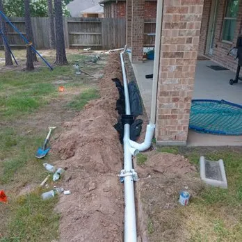 Expert yard cleanup service for homes across Dallas, TX - Bloom Biotics