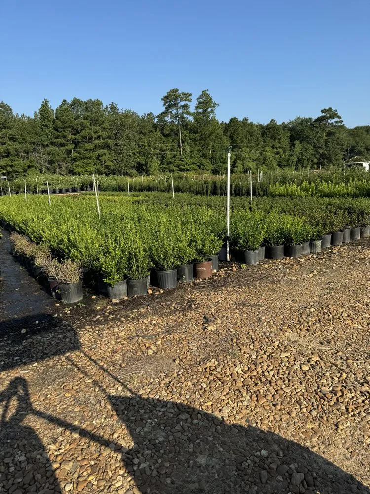 Affordable outdoor landscaping for residential properties in Dallas, TX by Bloom Biotics