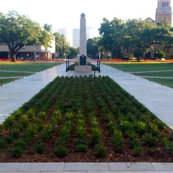 Expert residential landscaping for homes across Dallas, TX - Bloom Biotics