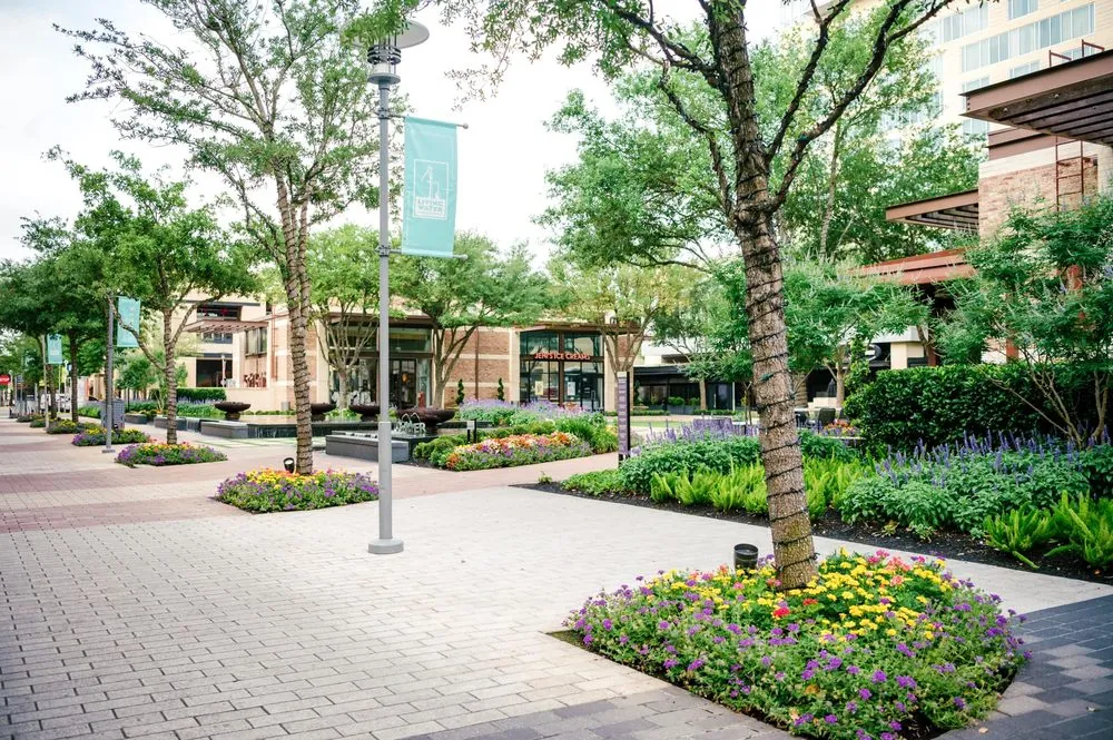 Expert outdoor landscaping in Dallas, TX by Bloom Biotics