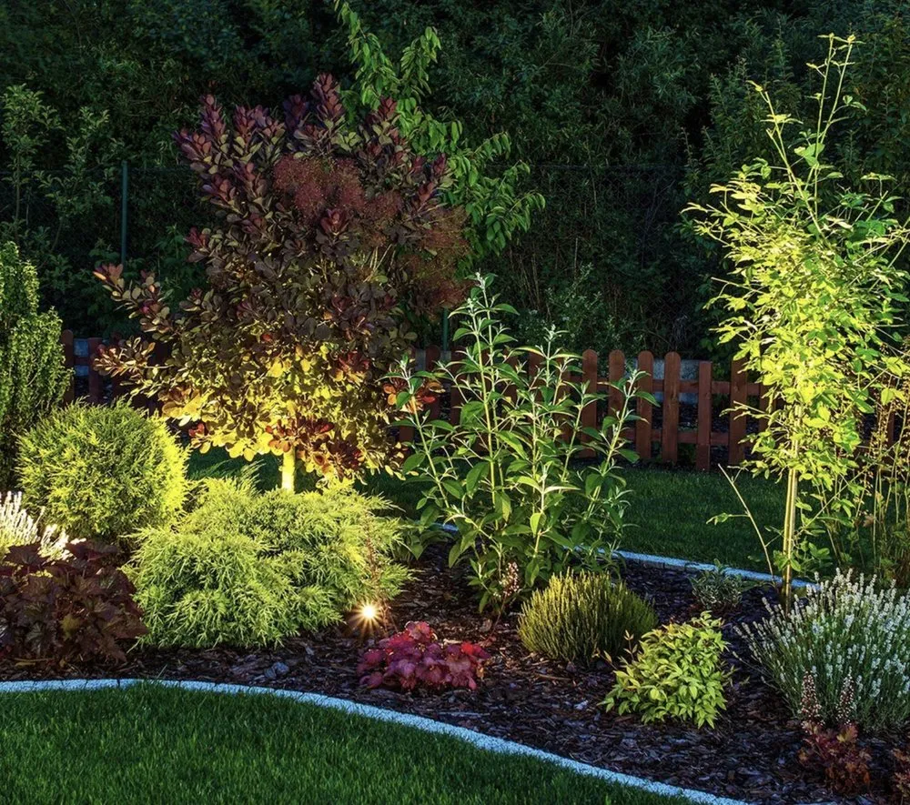 Custom yard cleanup service in Dallas, TX by Bloom Biotics