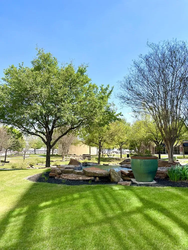 Expert yard cleanup service in Dallas, TX by Bloom Biotics