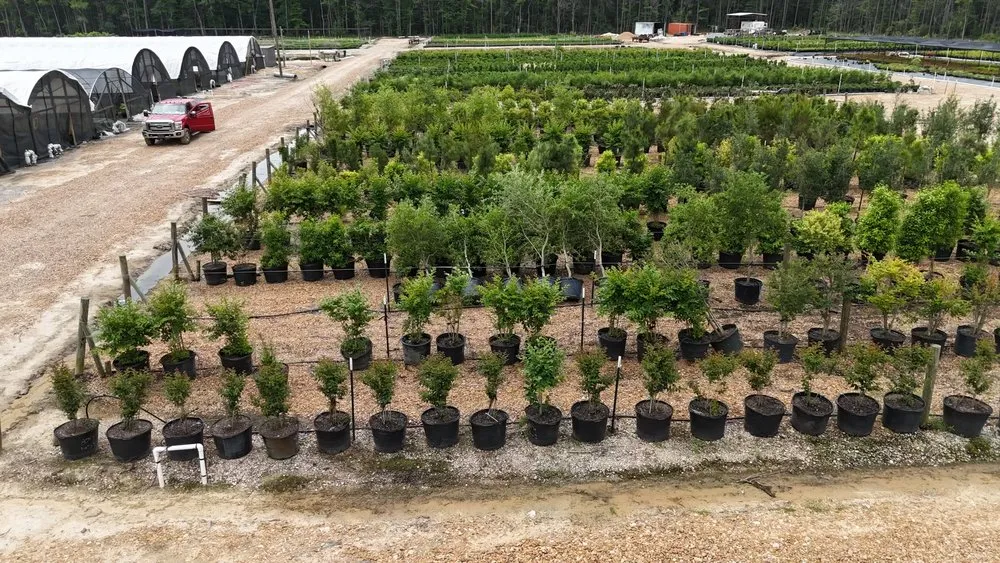 Custom yard maintenance in Dallas, TX by Bloom Biotics