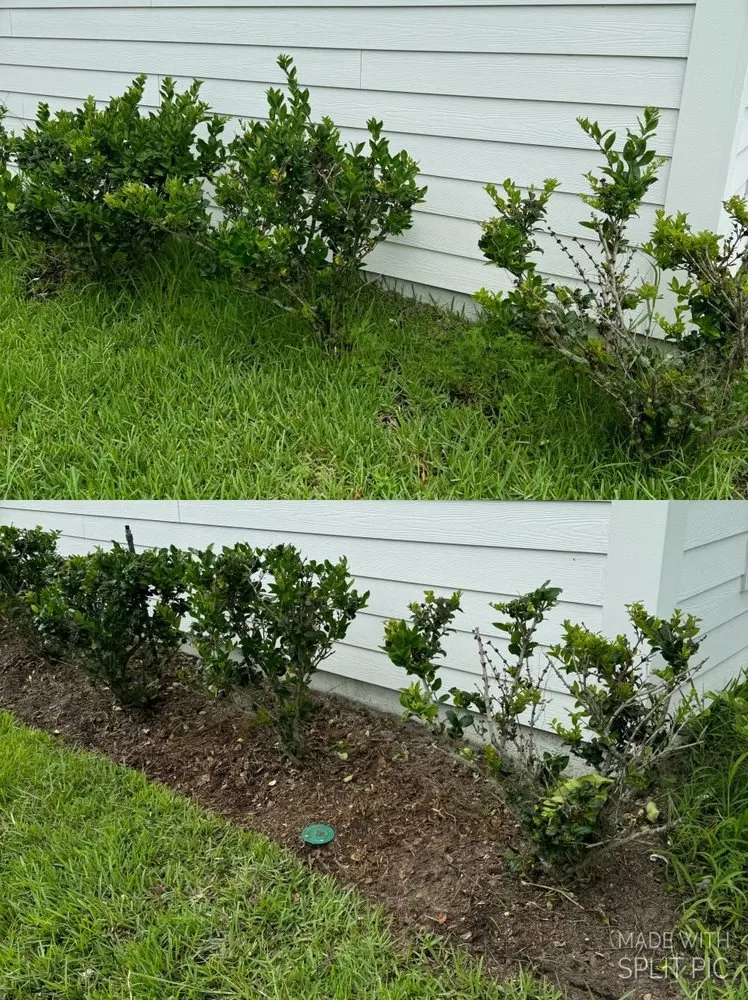 Expert landscape installation experts serving St. Augustine, FL - Bloom Busters