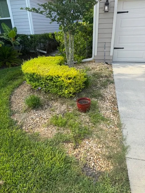 Affordable landscaping services in St. Augustine, FL by Bloom Busters