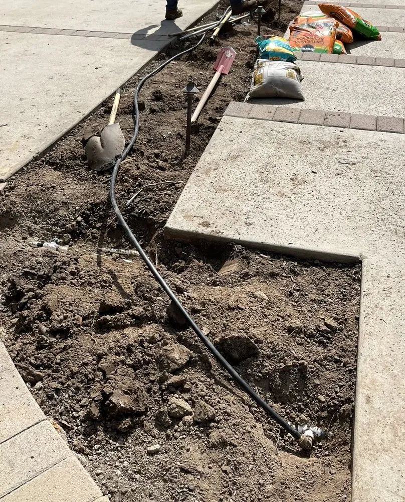 Trusted lawn care service for homes in Pasadena, CA by Bloom By Lola