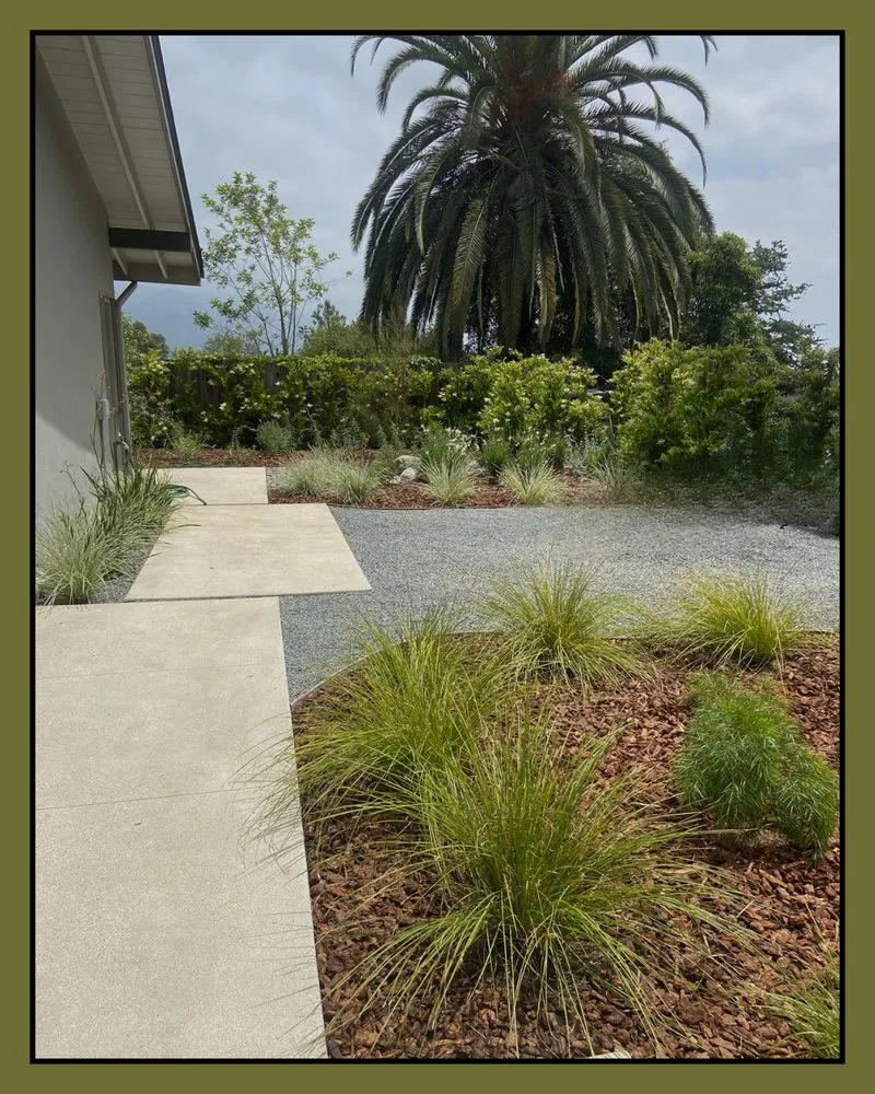Reliable landscaping services in Pasadena, CA - Bloom By Lola