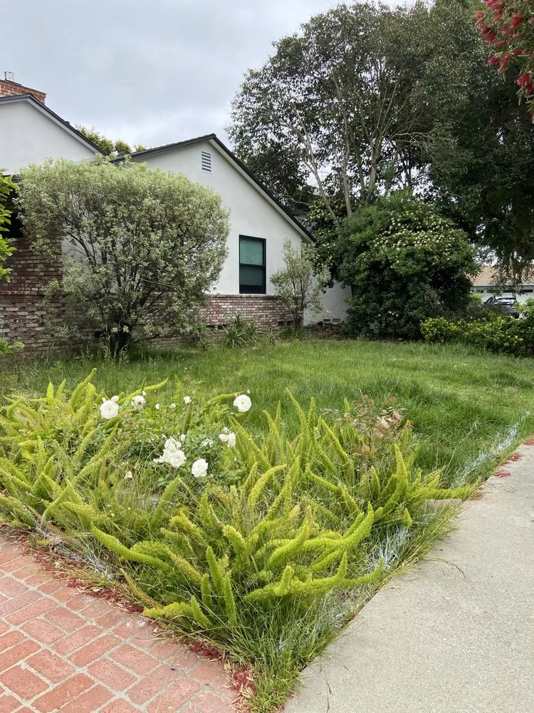 Reliable residential landscaping with custom design across Pasadena, CA - Bloom By Lola