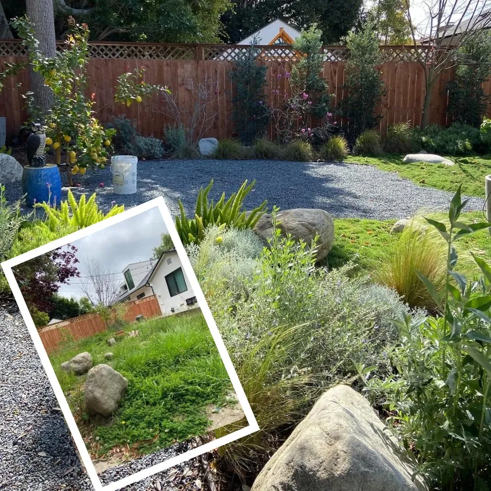 Affordable outdoor landscaping for outdoor upgrades in Pasadena, CA by Bloom By Lola
