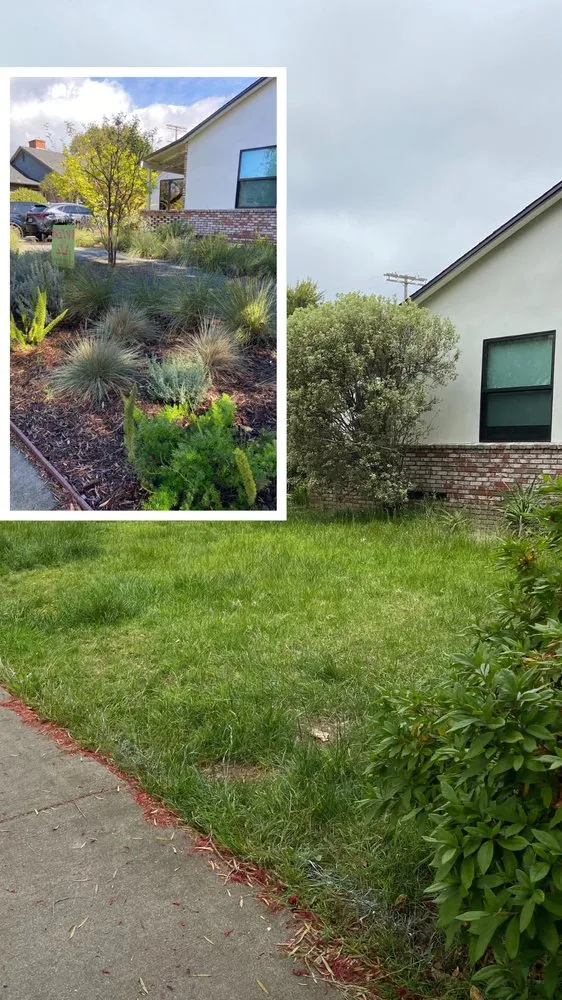 Reliable yard cleanup service in Pasadena, CA by Bloom By Lola