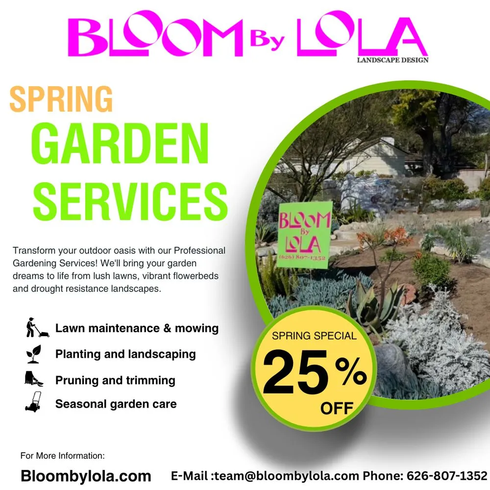 Professional yard cleanup service in Pasadena, CA - Bloom By Lola