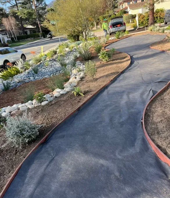Top-rated residential landscaping with custom design across Pasadena, CA - Bloom By Lola