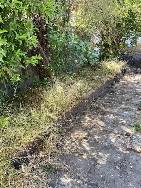 Trusted residential landscaping in Pasadena, CA - Bloom By Lola