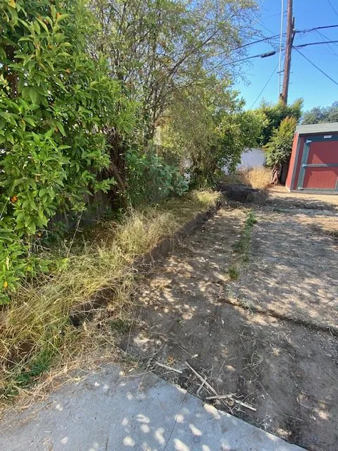 Top-rated yard cleanup service for residential properties in Pasadena, CA by Bloom By Lola