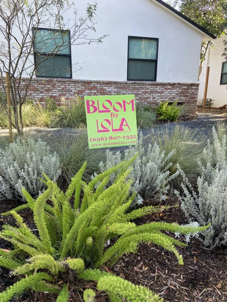 Top-rated landscape design for beautiful yards in Pasadena, CA by Bloom By Lola
