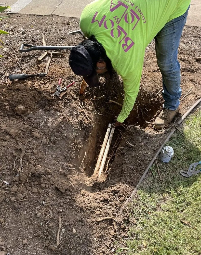 Trusted lawn care service experts serving Pasadena, CA - Bloom By Lola