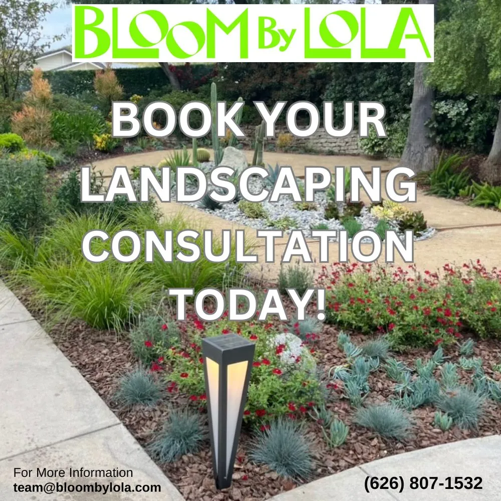 Expert yard cleanup service for beautiful yards across Pasadena, CA - Bloom By Lola