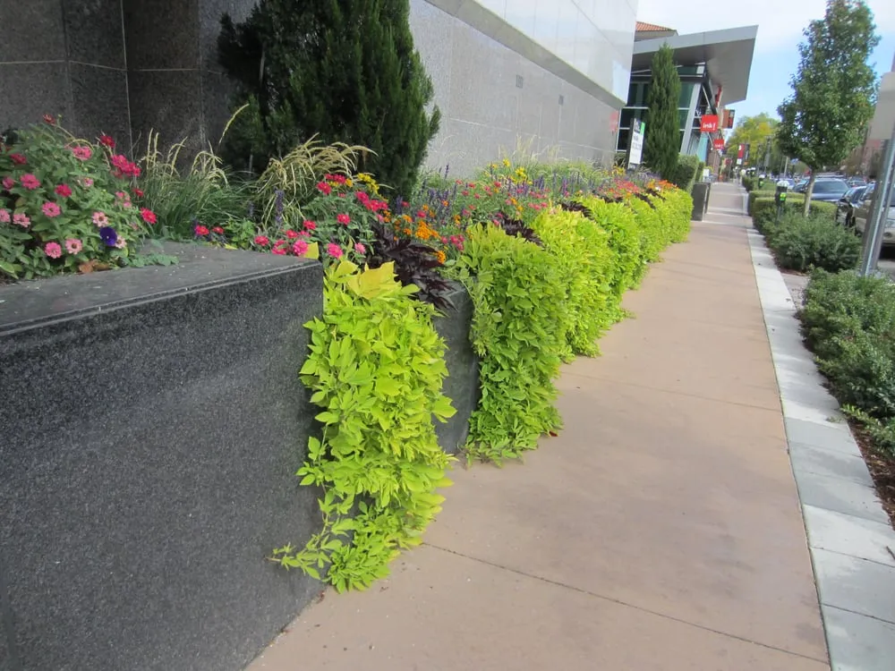 Custom garden landscaping experts serving Steamboat Springs, CO - Bloom Concrete & Landscape