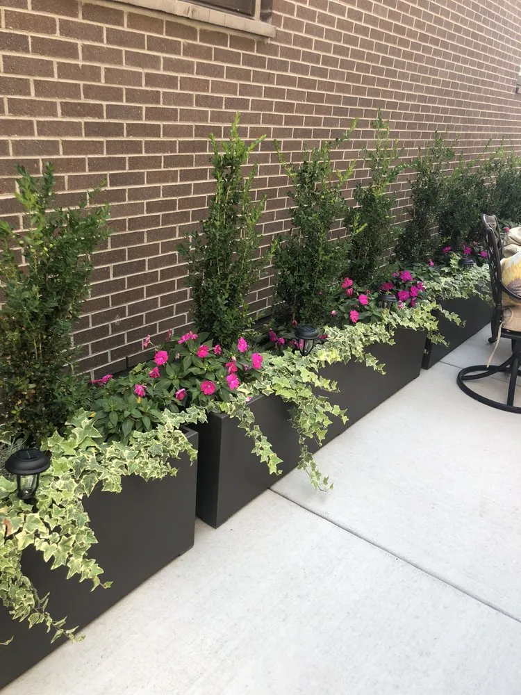 Top-rated lawn care service with custom design across Steamboat Springs, CO - Bloom Concrete & Landscape