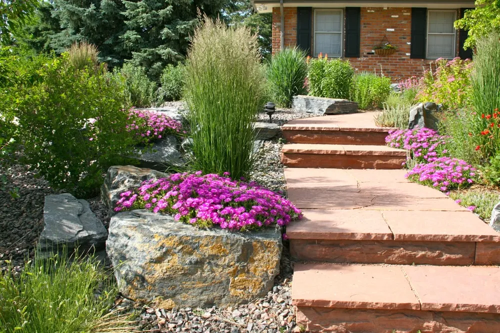 Affordable lawn care service in Steamboat Springs, CO by Bloom Concrete & Landscape