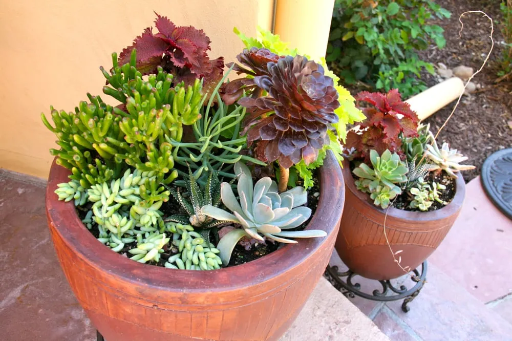 Professional lawn mowing service in Steamboat Springs, CO by Bloom Concrete & Landscape