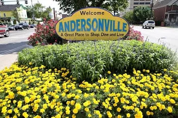 Professional lawn mowing service for residential properties in Chicago, IL by Bloom Designs