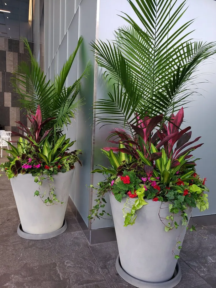 Affordable lawn care service with custom design across Chicago, IL - Bloom Designs