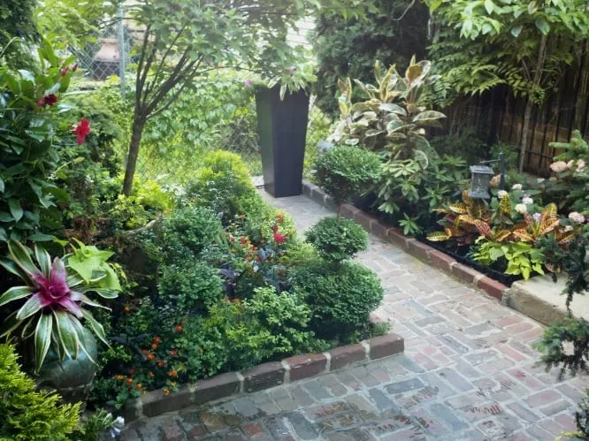 Trusted lawn care service experts serving Chicago, IL - Bloom Designs