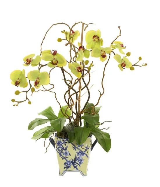 Custom landscaping services for residential properties across Chicago, IL - Bloom Designs