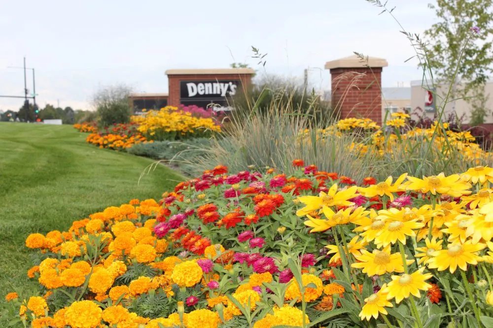 Expert lawn mowing service experts serving Englewood, CO - Bloom Floralscapes