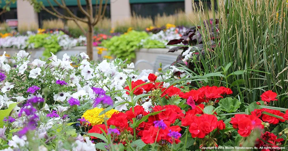 Top-rated residential landscaping in Englewood, CO - Bloom Floralscapes