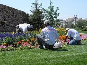Professional landscape design for outdoor upgrades across Englewood, CO - Bloom Floralscapes