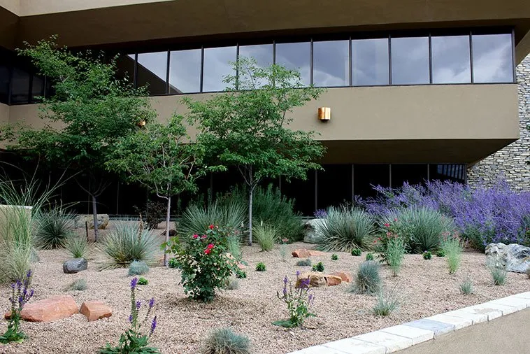 Local residential landscaping for year-round maintenance in Englewood, CO by Bloom Floralscapes