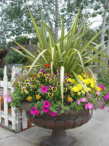 Local landscaping services for beautiful yards across Englewood, CO - Bloom Floralscapes