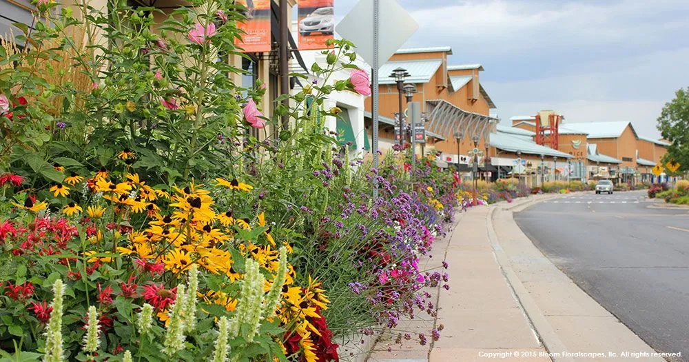 Affordable outdoor landscaping in Englewood, CO by Bloom Floralscapes