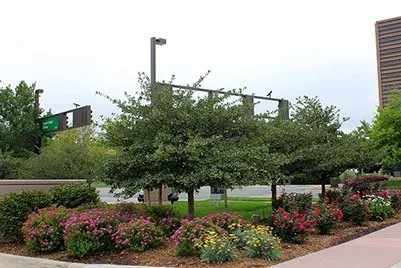 Affordable landscaping services in Englewood, CO by Bloom Floralscapes