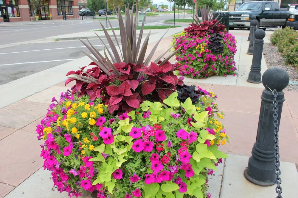 Affordable lawn mowing service experts serving Englewood, CO - Bloom Floralscapes