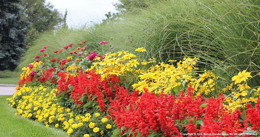 Trusted lawn mowing service experts serving Englewood, CO - Bloom Floralscapes