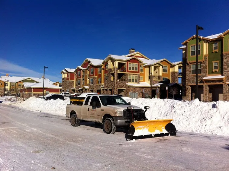 Trusted yard maintenance for outdoor upgrades in Englewood, CO by Bloom Floralscapes