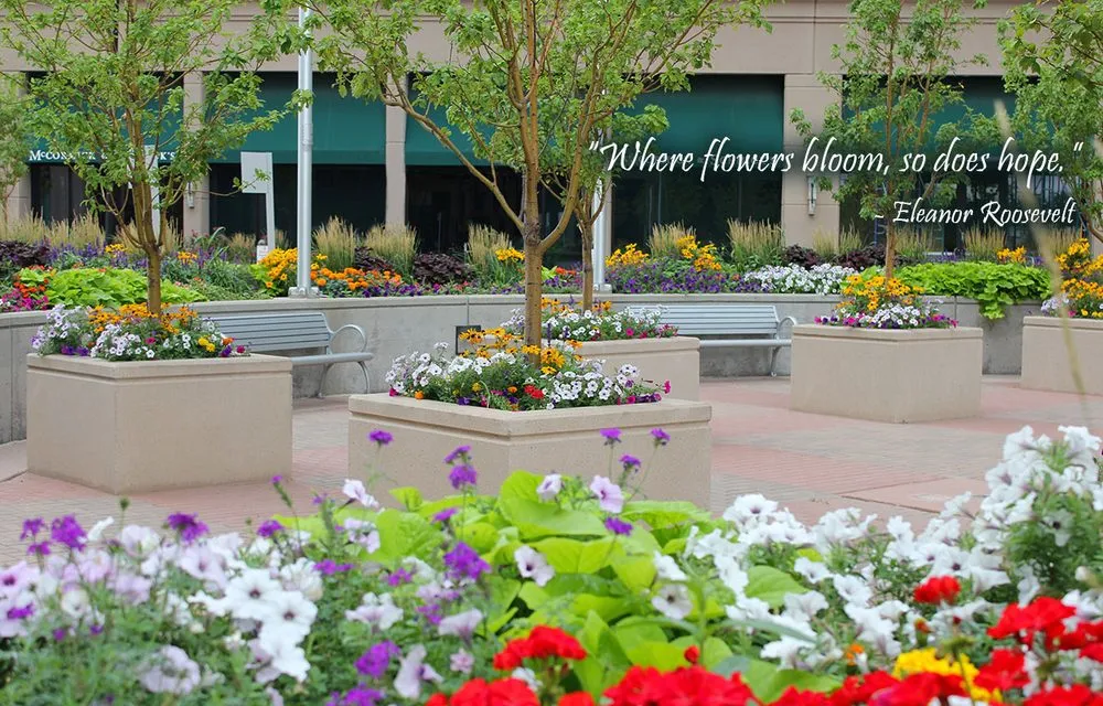 Trusted residential landscaping in Englewood, CO - Bloom Floralscapes